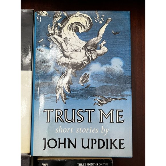 John Updike Lot 4 Books problems, trust me, seek my face, witches of Eastwick - Picture 3 of 8